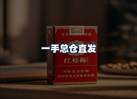 专业团队办公环境